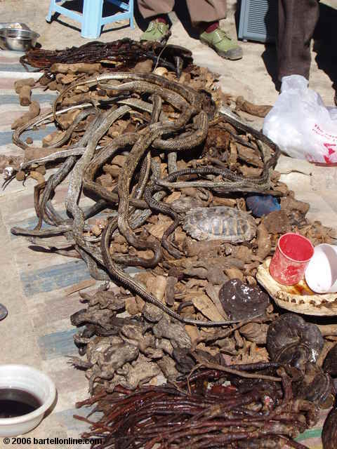 Rather exotic foods for sale at the Youshuo market in Yunnan province, China